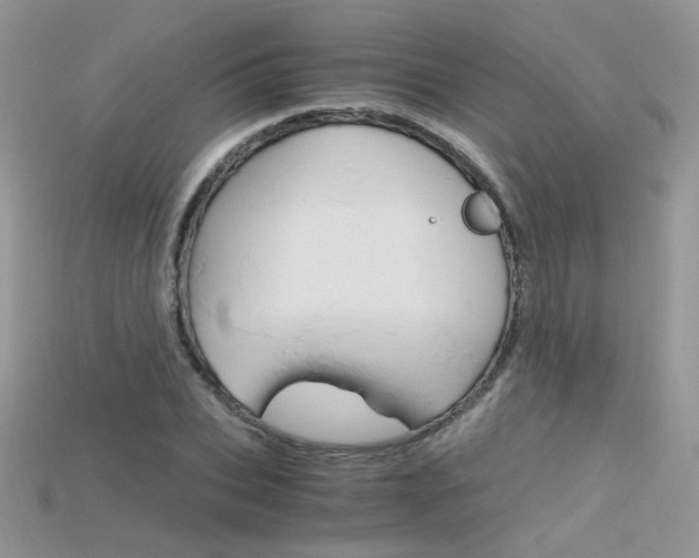 X0000115700927200911121401