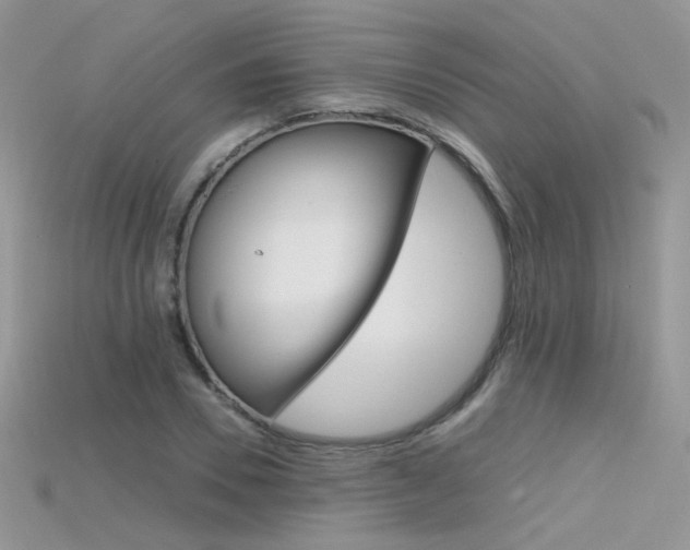 X0000115700930200911121401