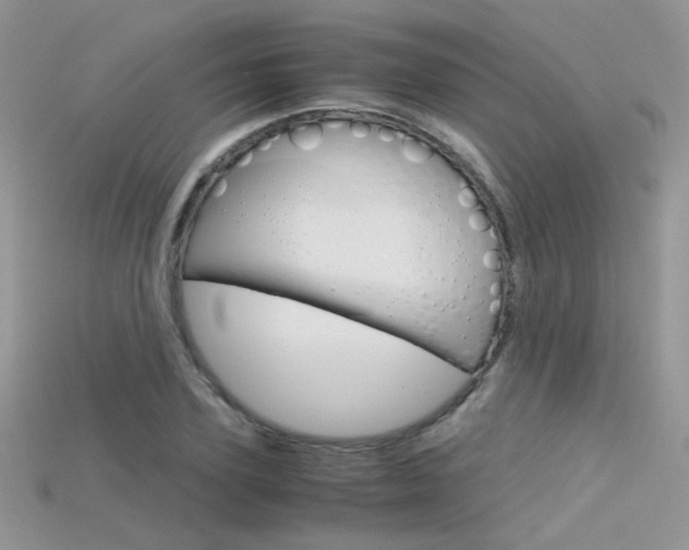 X0000115700931200911121401