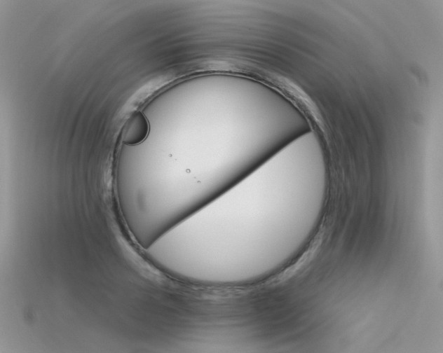 X0000115700938200911121401