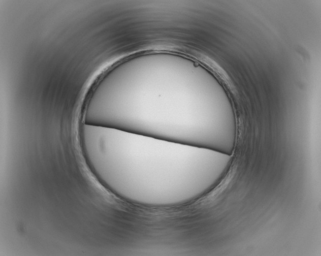 X0000115700939200911121401