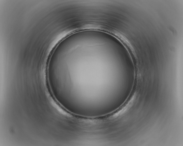 X0000115700941200911121402