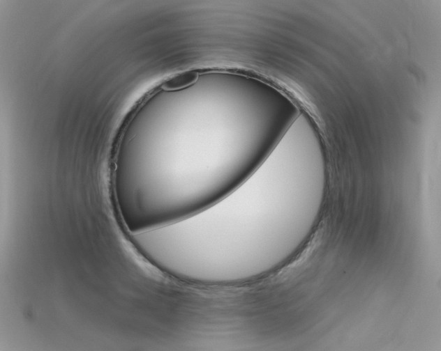 X0000115700942200911121402