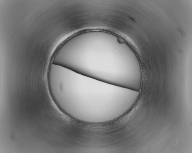 X0000115700943200911121402