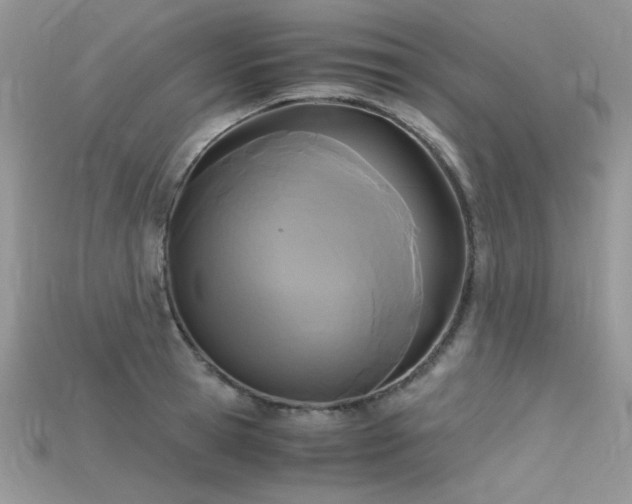 X0000115700945200911121402