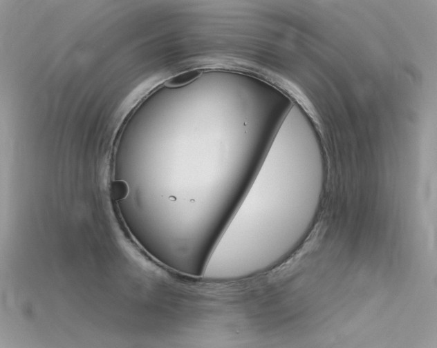 X0000115700946200911121402