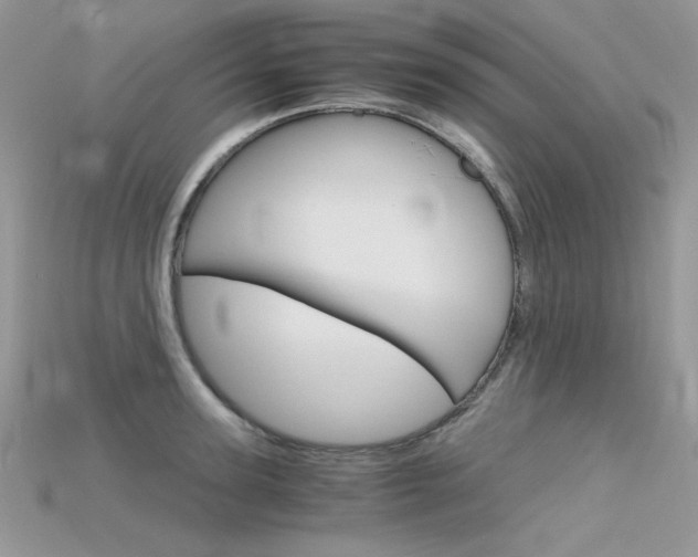 X0000115700947200911121402