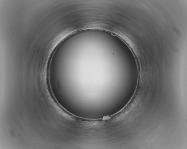 X0000115700949200911121402