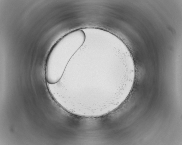 X0000115700950200911121402