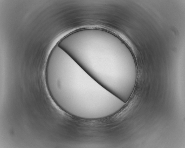 X0000115700951200911121402