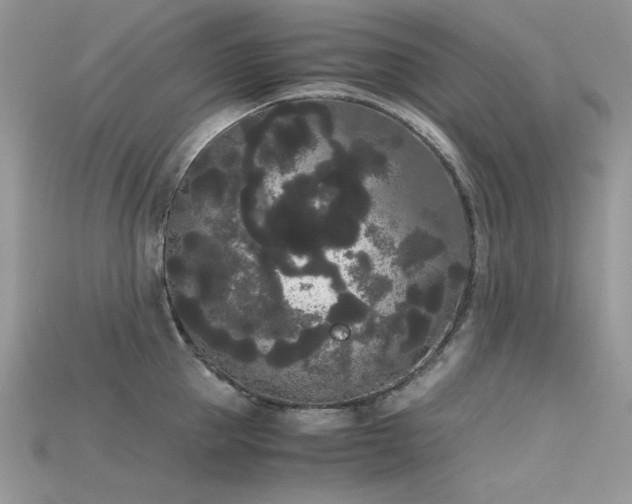 X0000115700953200911121402