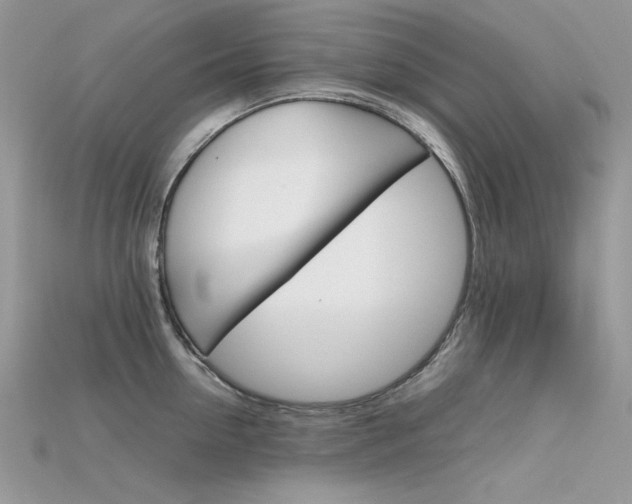X0000115700954200911121402
