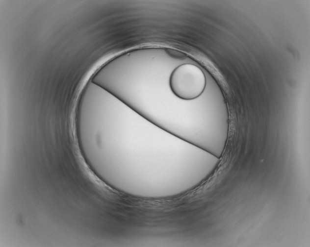 X0000115700955200911121402
