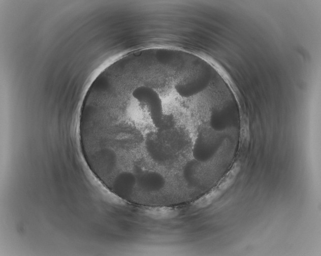 X0000115700957200911121402