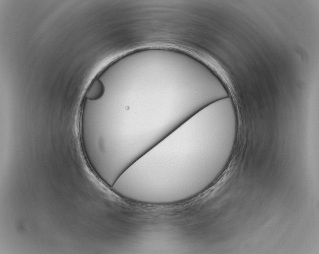 X0000115700958200911121402
