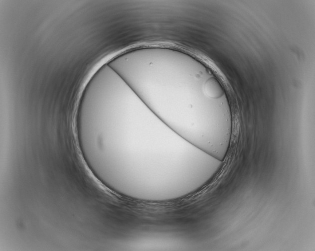 X0000115700959200911121402