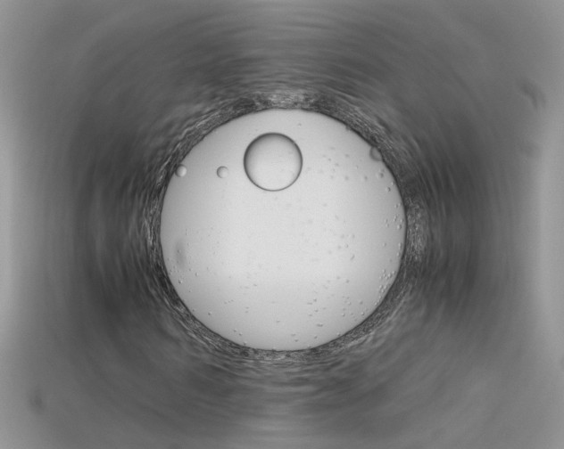 X0000115700962200911121401