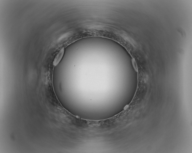X0000115700965200911121401