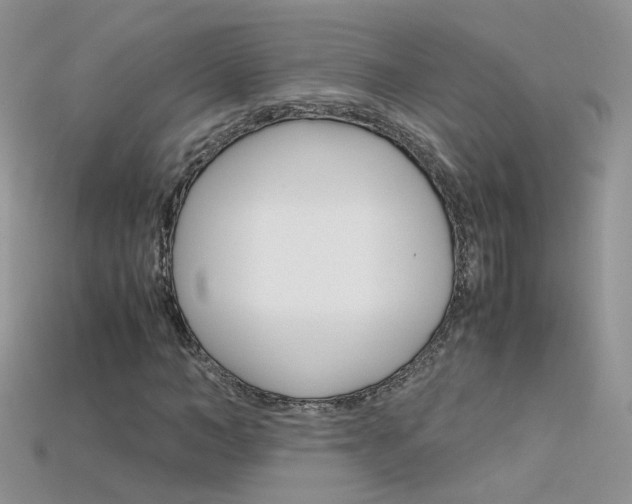 X0000115700966200911121401