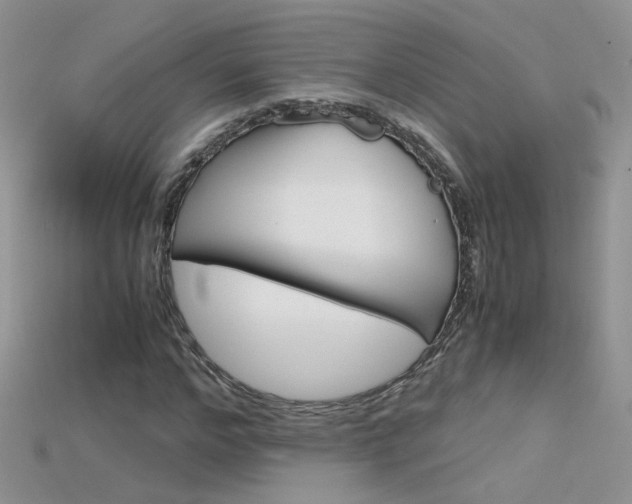 X0000115700968200911121401