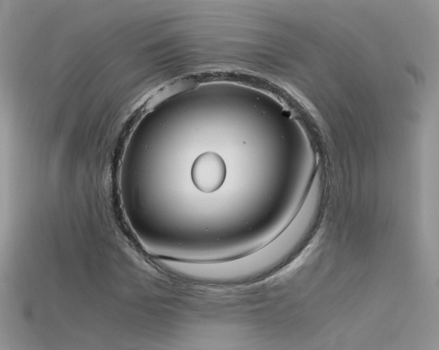 X0000115700969200911121401