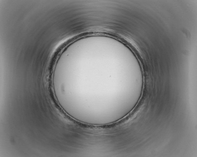 X0000115700971200911121401