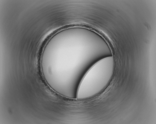 X0000115700975200911121401