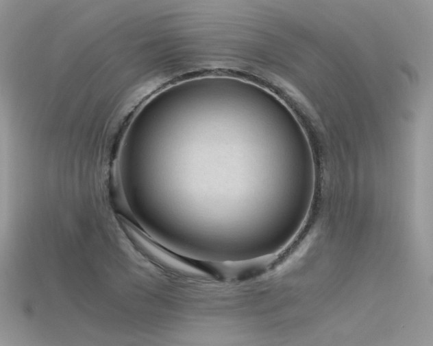 X0000115700977200911121401