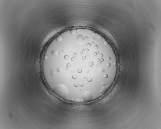 X0000115700978200911121401