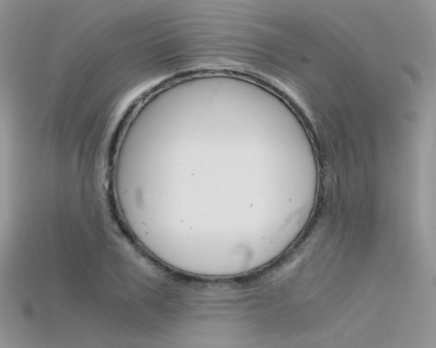 X0000115700979200911121401