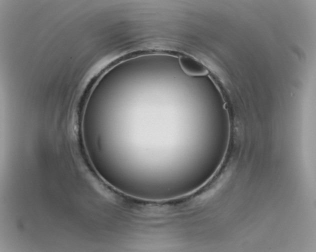 X0000115700981200911121401