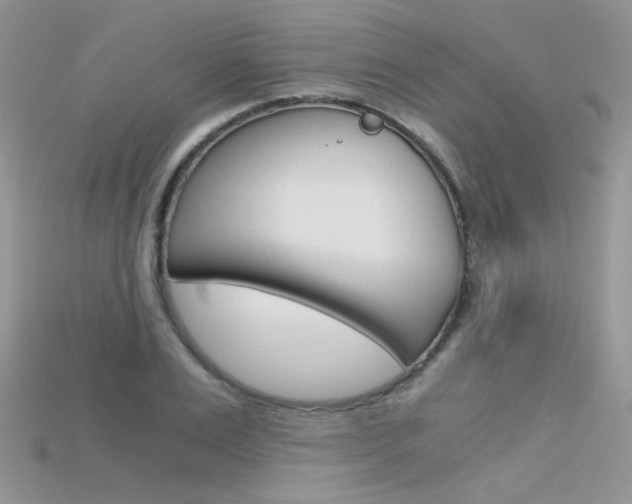 X0000115700983200911121401