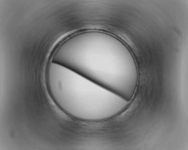 X0000115700984200911121401