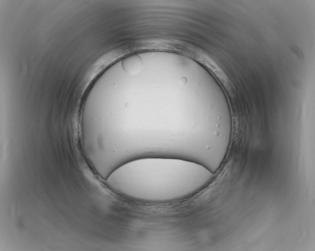 X0000115700994200911121400