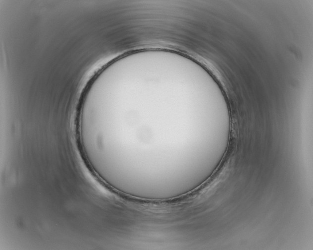 X0000115700995200911121400