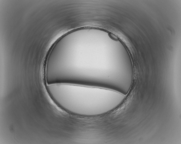 X0000115700999200911121400