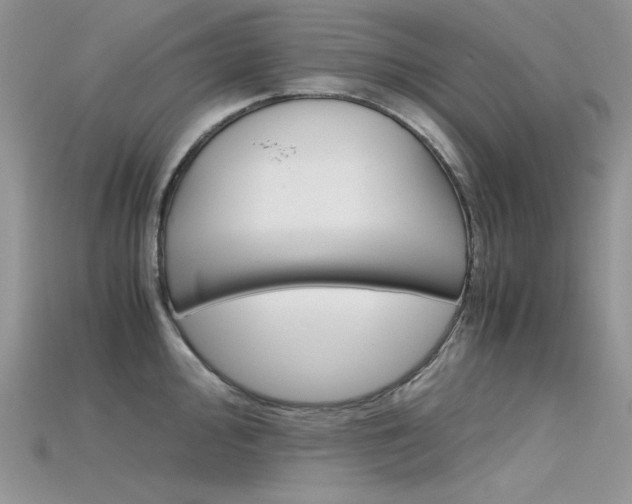 X0000115701000200911121400