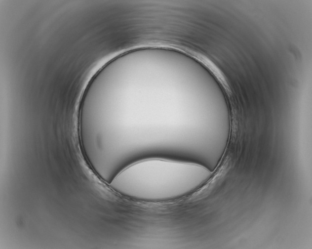 X0000115701004200911121400