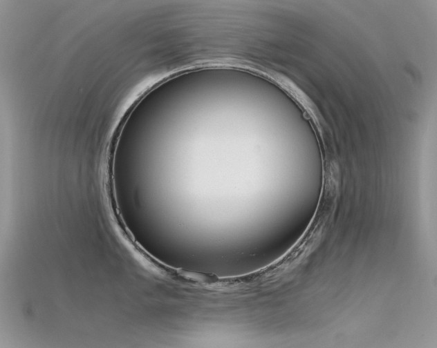 X0000115701005200911121400