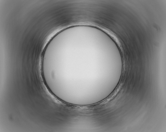 X0000115701006200911121400