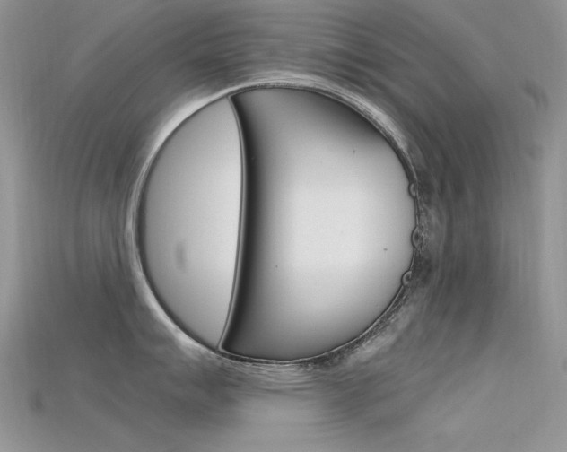 X0000115701007200911121400