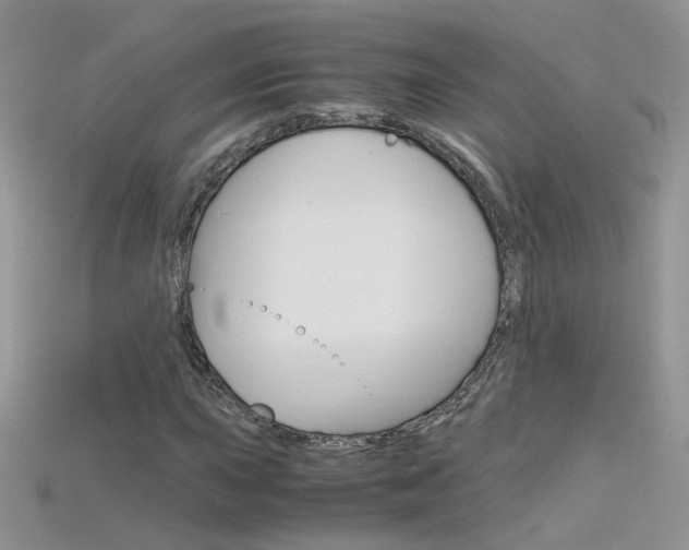 X0000115701015200911121400