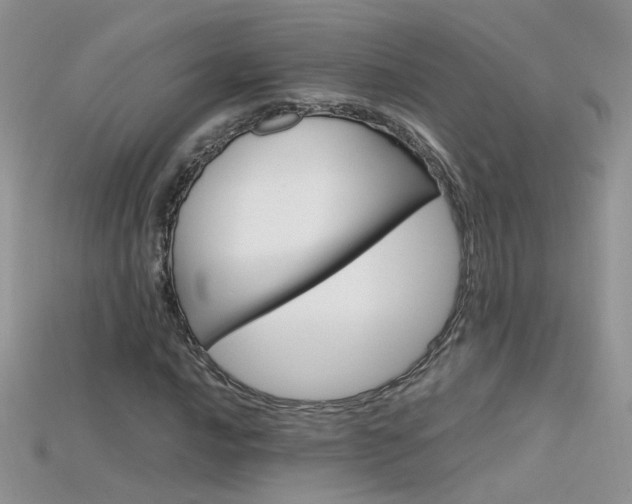 X0000115701016200911121400