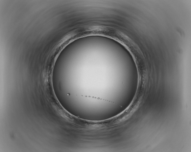X0000115701017200911121400