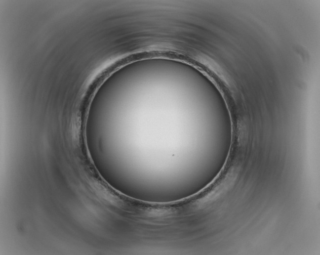 X0000115701021200911121400