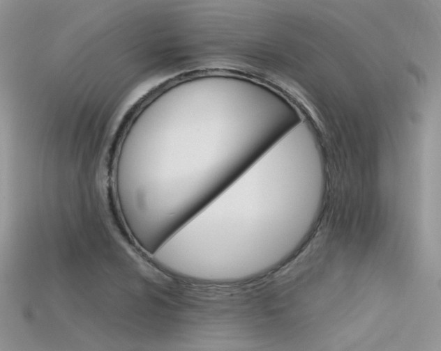 X0000115701024200911121400