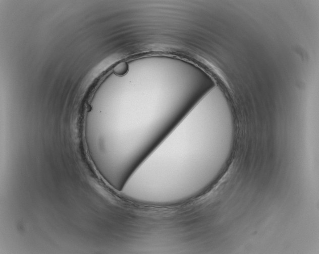 X0000115701026200911121400
