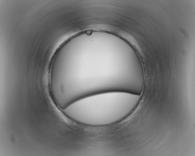 X0000115701040200911121400