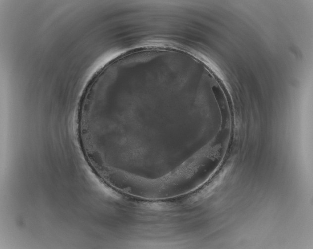 X0000115701045200911121400