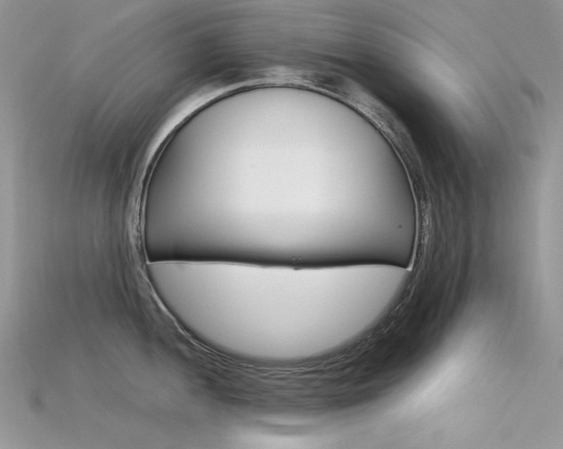 X0000115701052200911121400